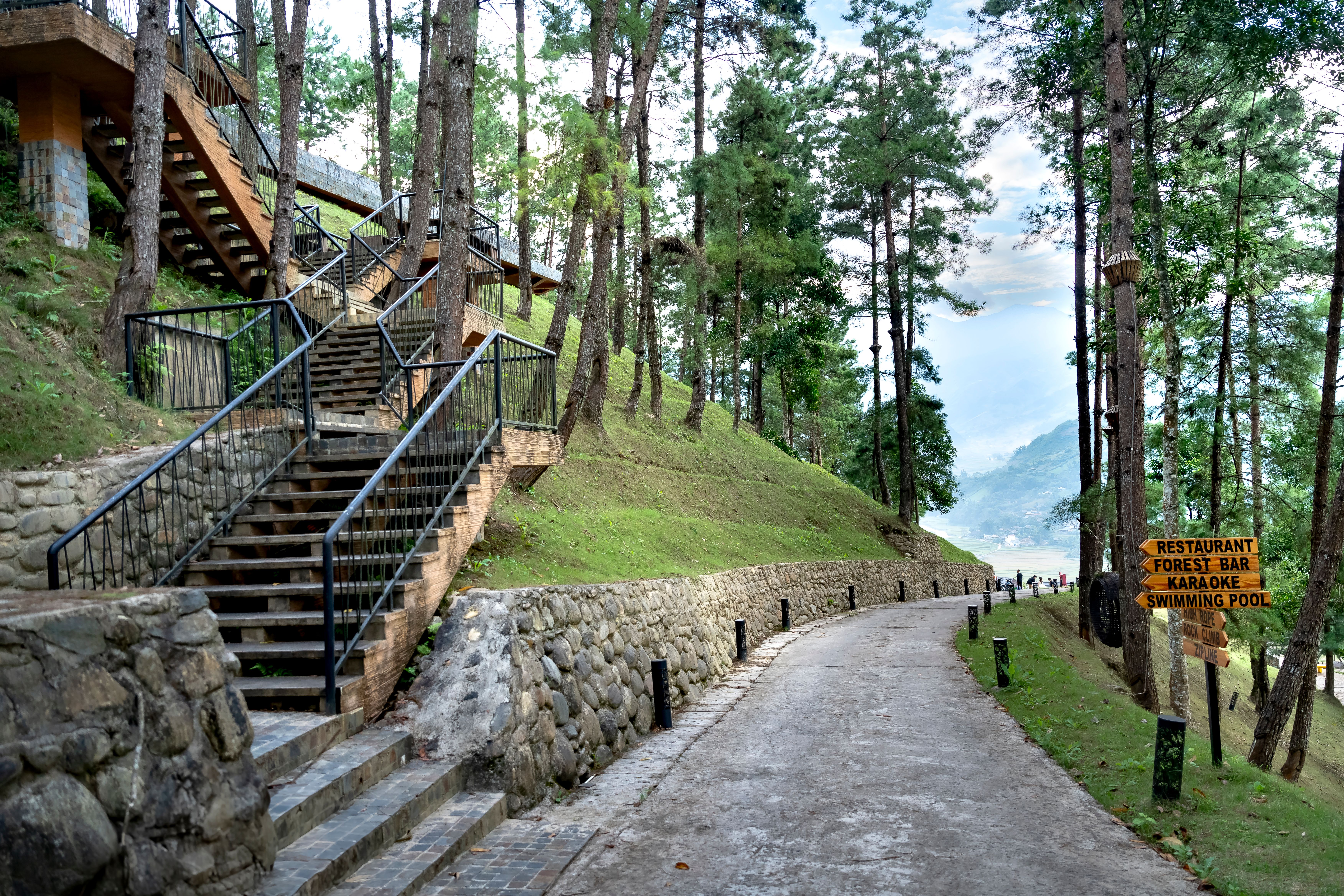 Scenic Outdoor Pathway with Forest and Stairs · Free Stock Photo