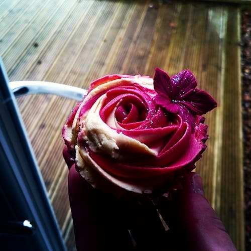 Darmowe zdjęcie z galerii z babeczka, kwiat, róża