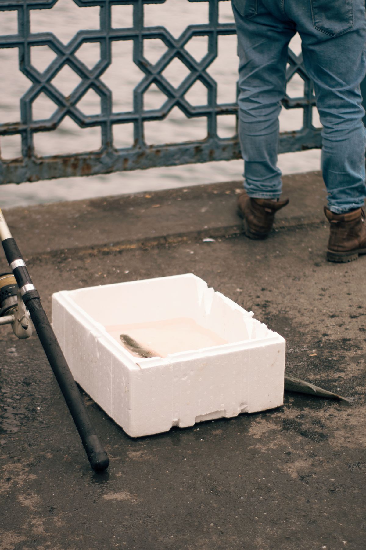 A fishing rod and a container of fish on a riverside pier