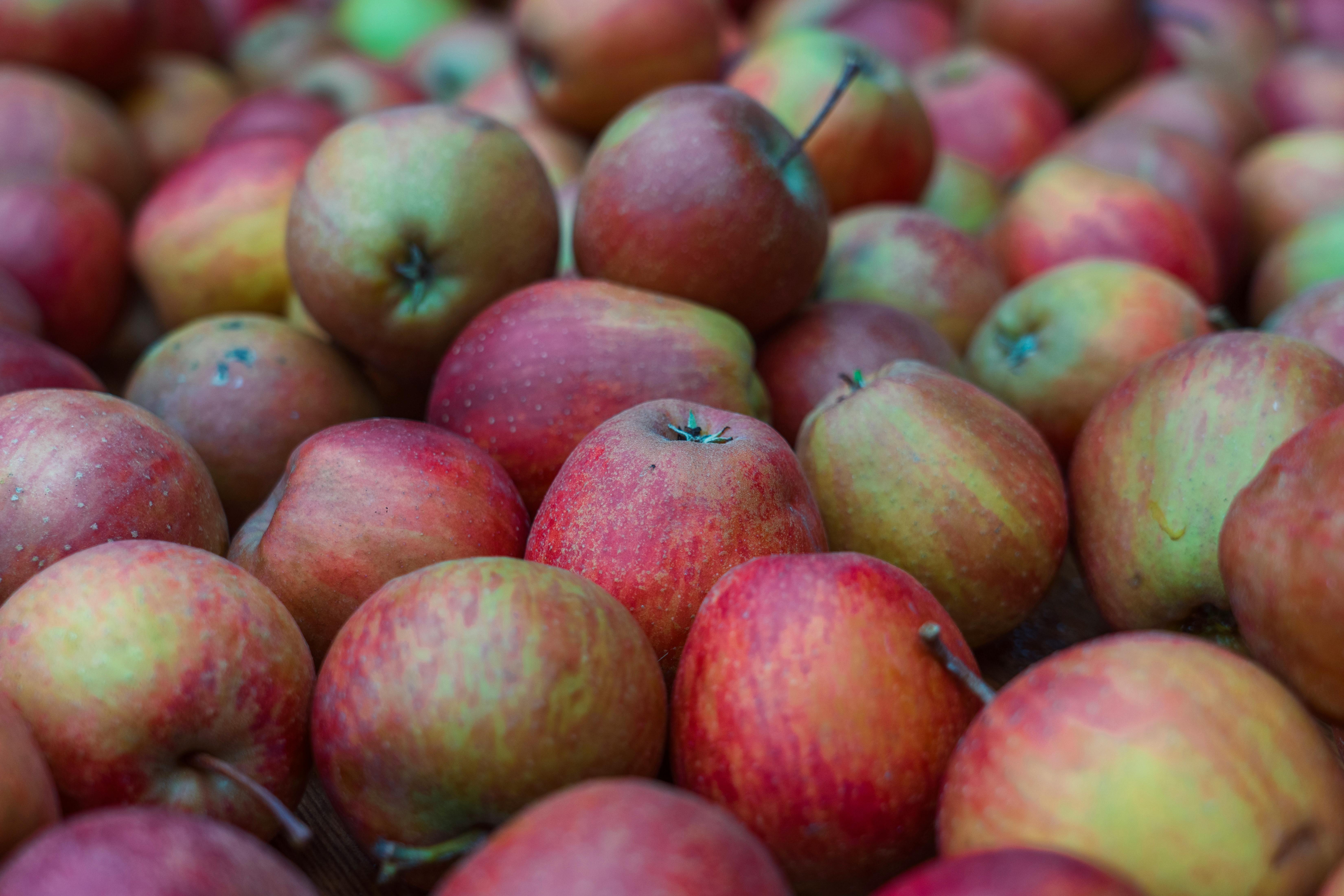 Nutrition Scientists Explain Apple Cider Vinegar Benefits For Weight Loss [fFWTwY25SqE] — Photo by Susanne Jutzeler, suju-fot
