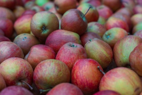 Free Close-up of freshly harvested red apples in a market setting. Stock Photo
