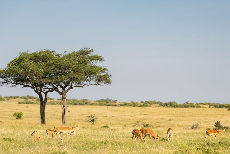 Quelle est la ville la moins chère de Kenya pour s'installer ?