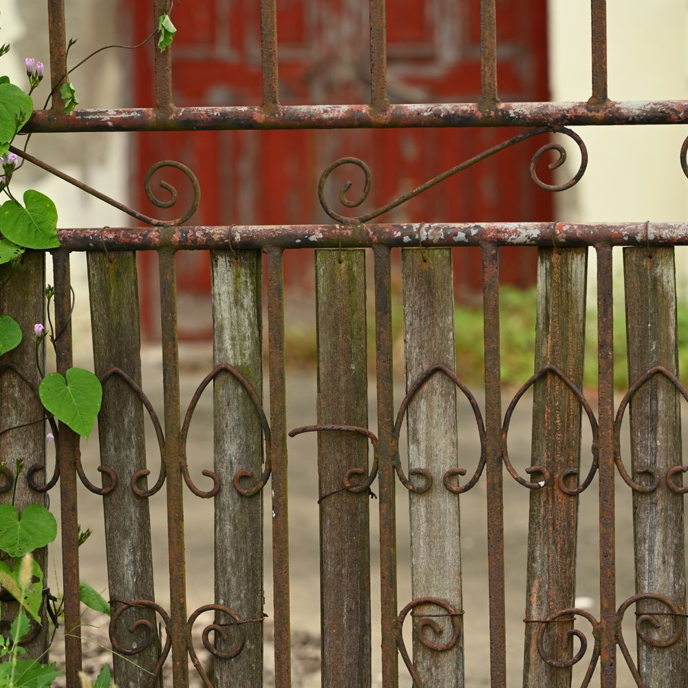 Fence and Decking Painting in Penge — a freshly painted, spotless finish