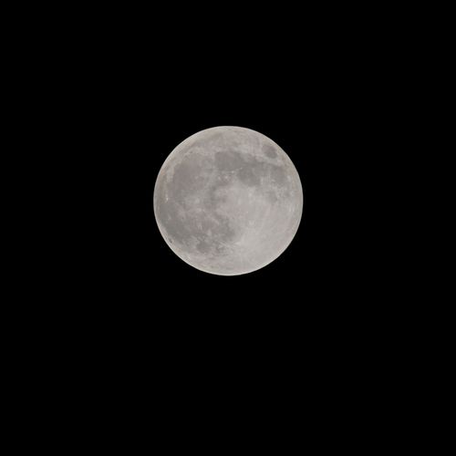 Free A full moon against a dark night sky, showcasing lunar surface details. Stock Photo
