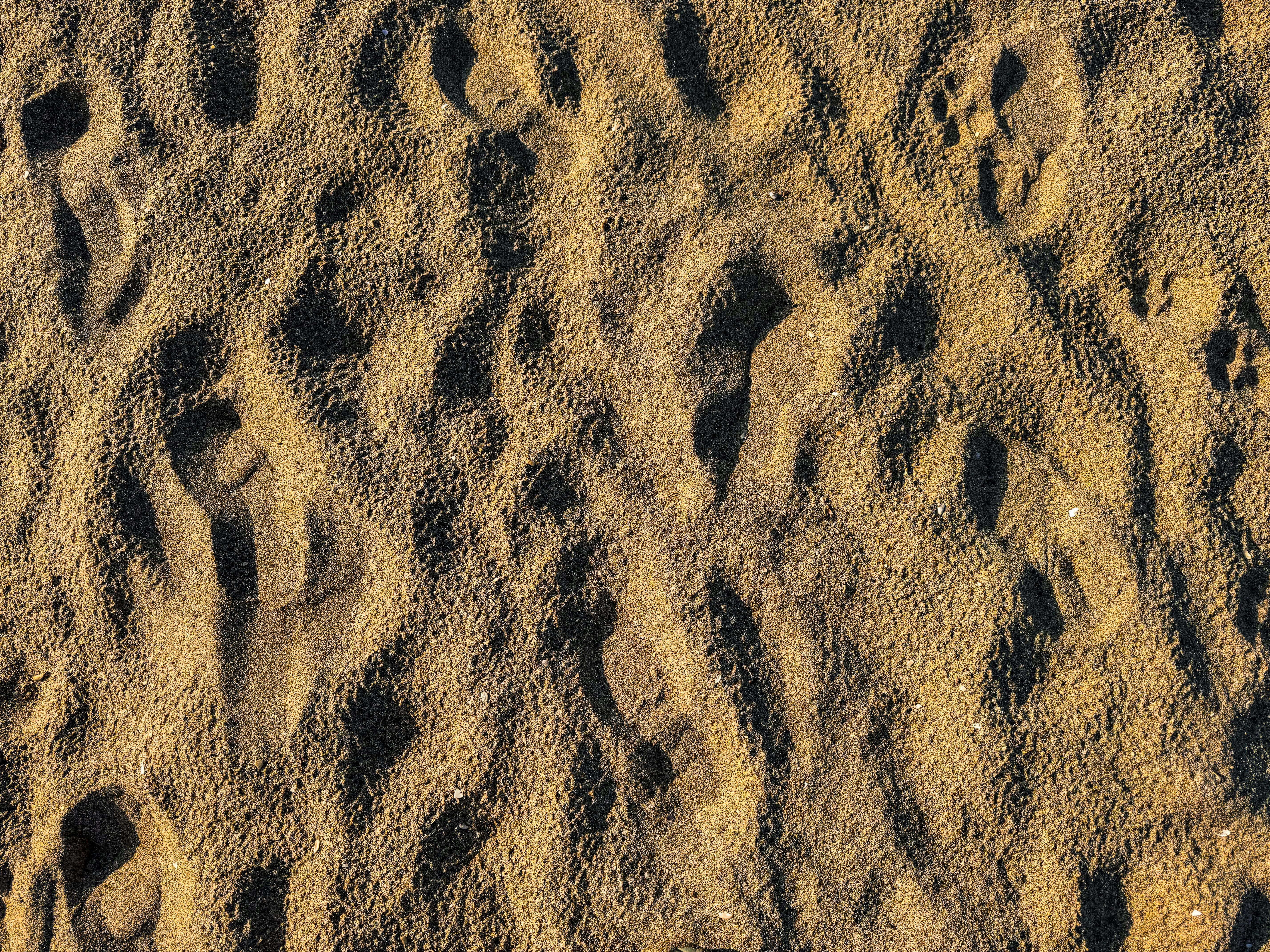 gratis Zandstrand Met Menselijke Voetafdrukken Stockfoto