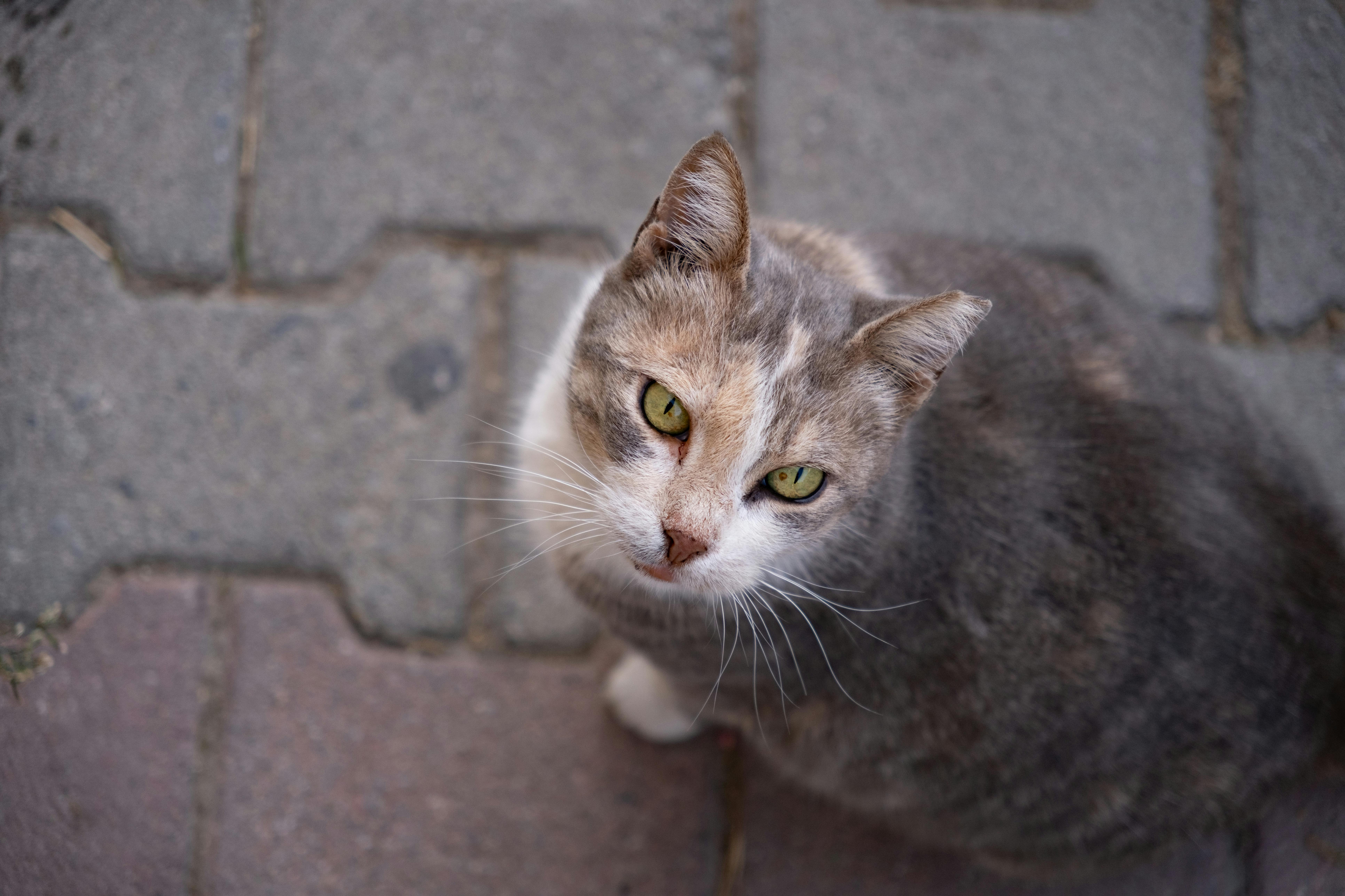 Top 3 Must-See Seafood Restaurants in Tampines