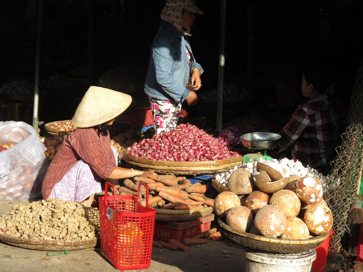 Traditional Asian market with fresh vegetables on display including coconuts, ginger, onions and sweet potatoes