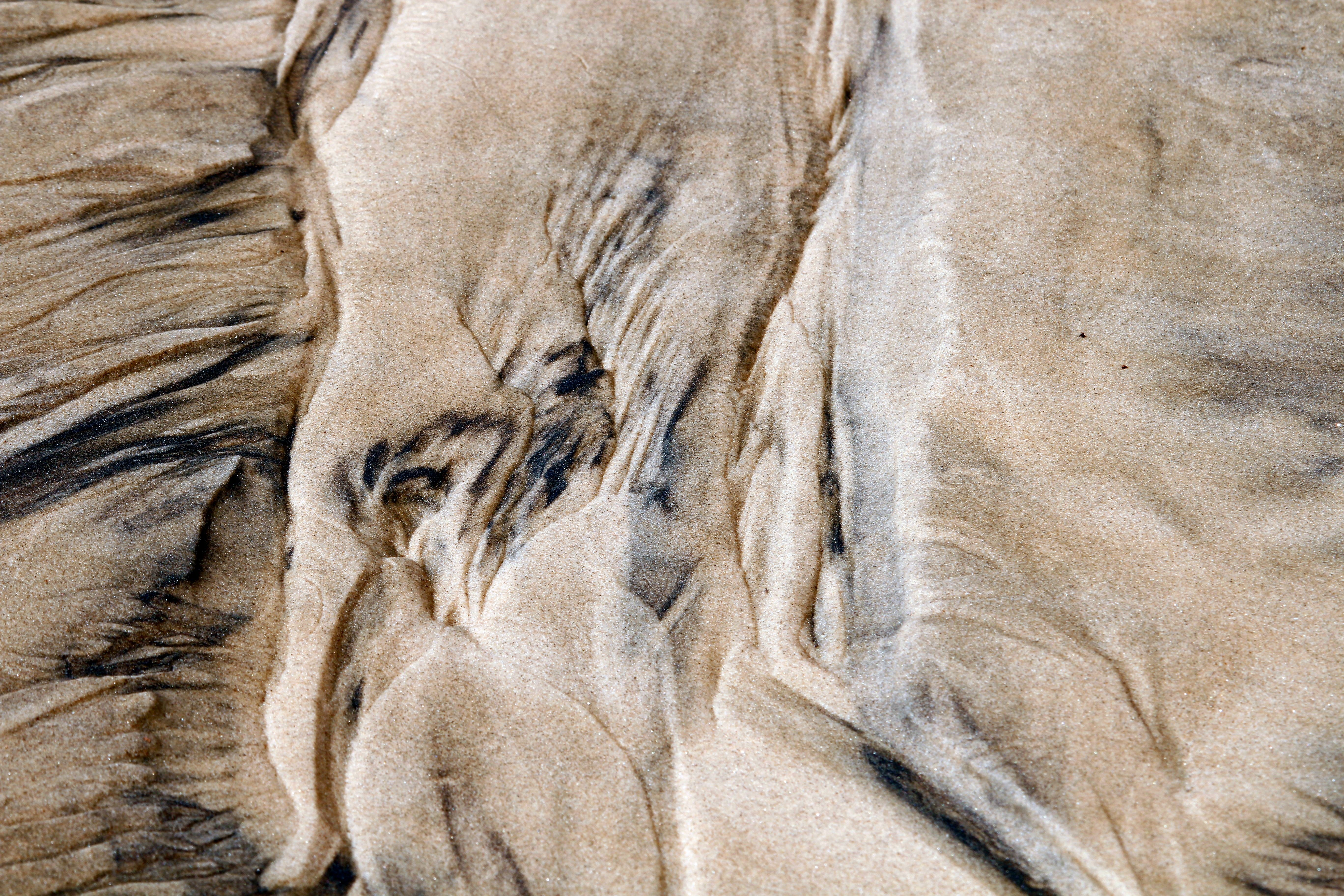 deep ocean sediment layers marine snow carbon