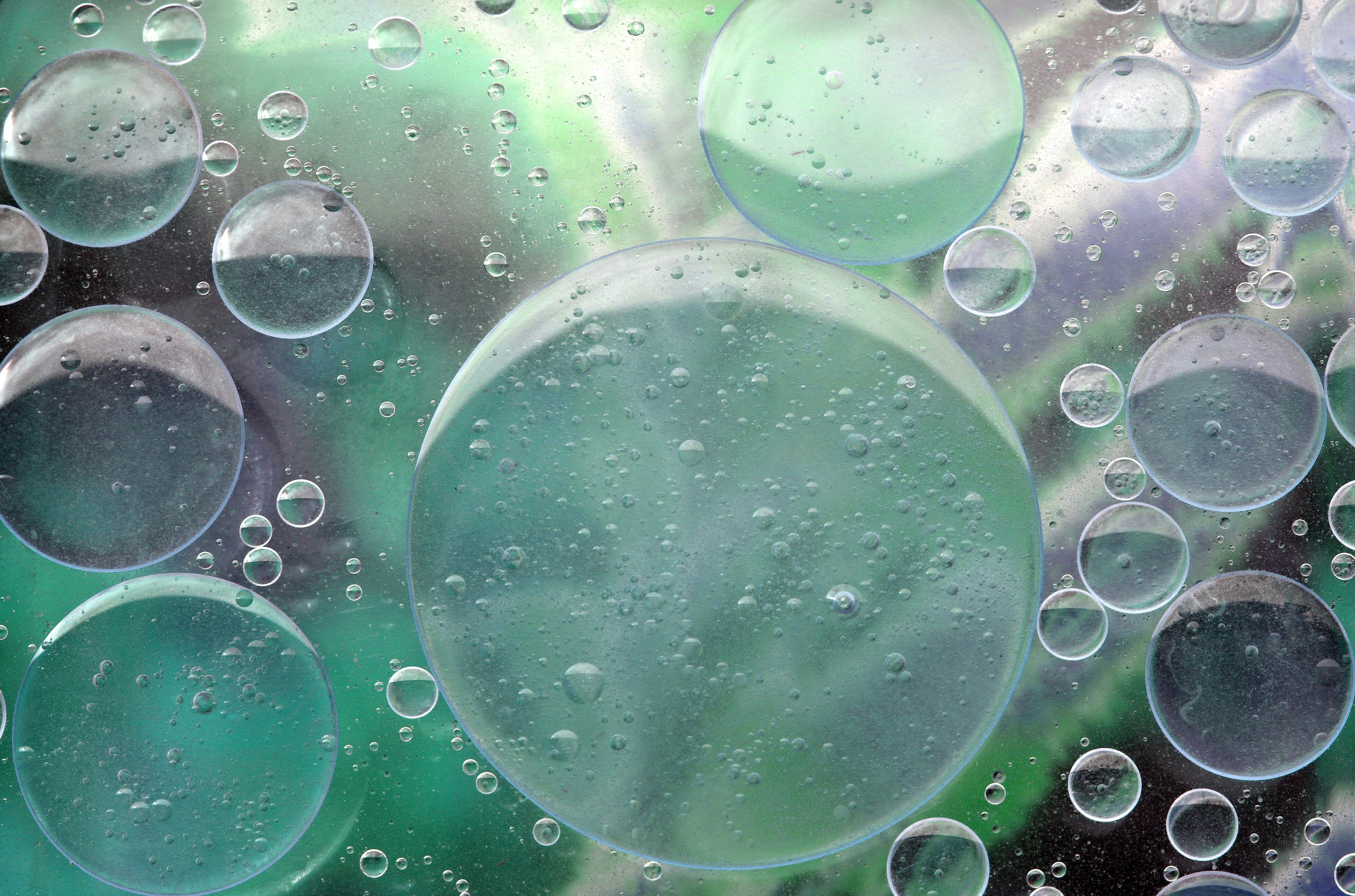 Macro shot of oil and water bubbles with a green background, showcasing abstract patterns.