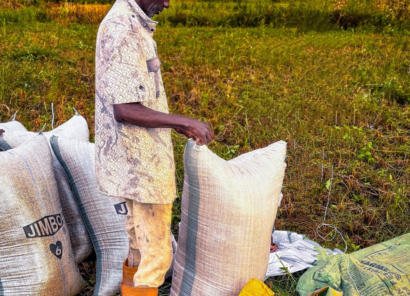 <span>AFRICA FOR <span style="color:#0c9b00">CHANGE</span> </span>