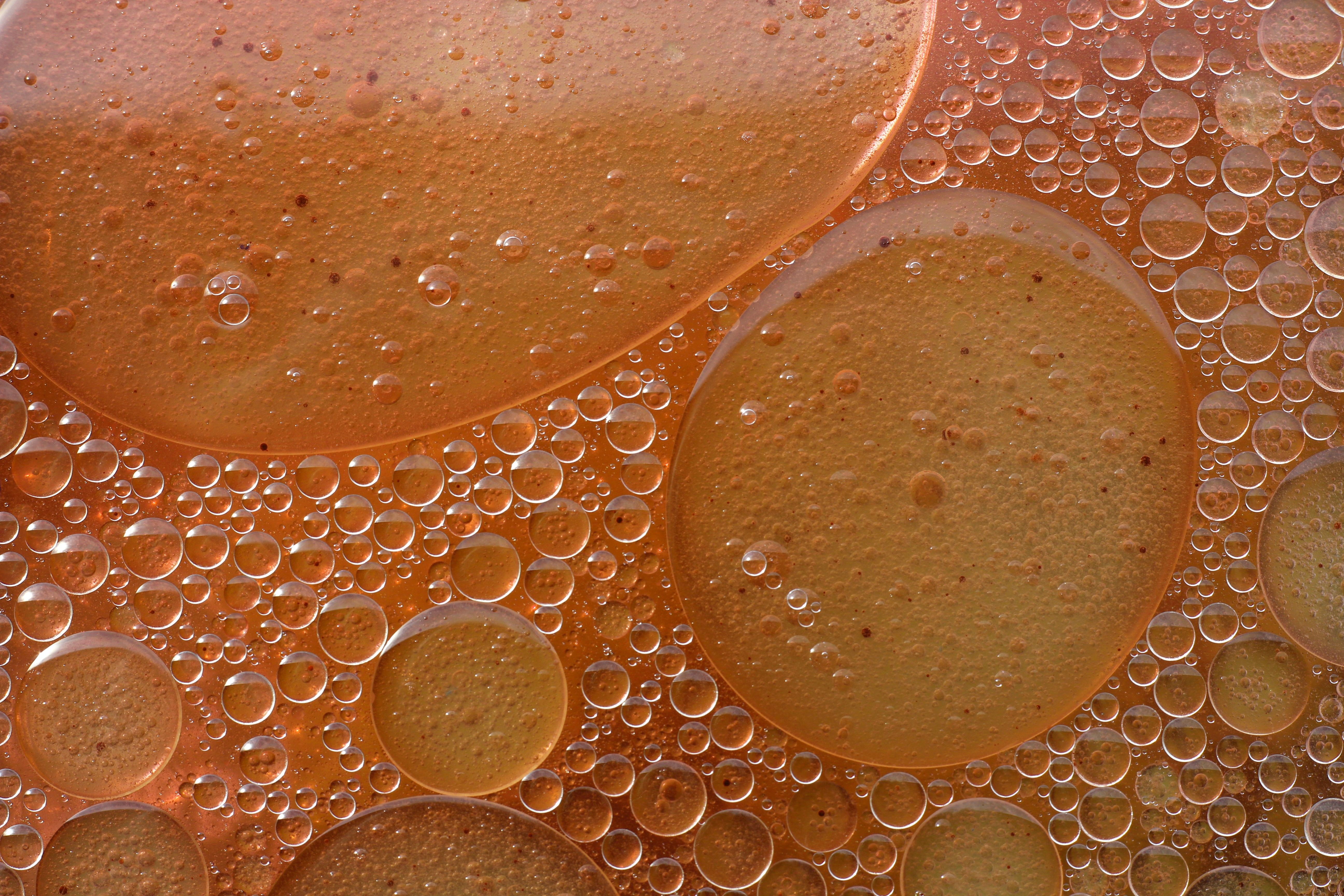 Close-up of abstract colorful oil and water bubbles in Guaratuba, Brazil. - Evidence evidence guide for astaxanthin visual performance meta-analysis