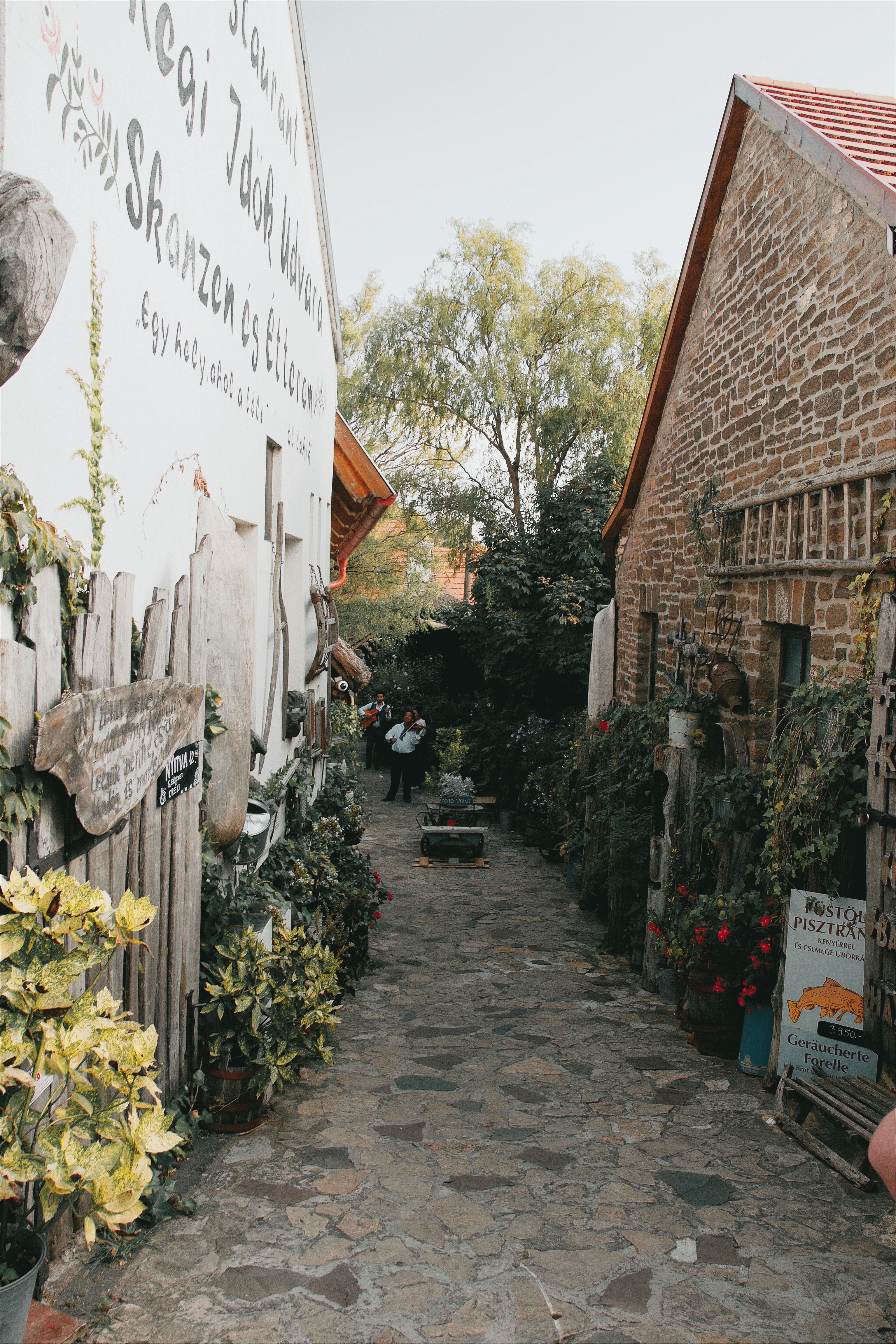 Scenic alley in Hungary with rustic stone path, vibrant plants, and charming decor.