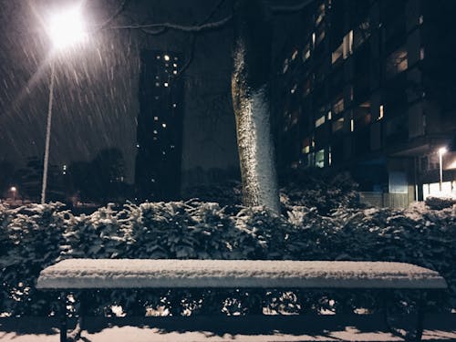 Fotobanka s bezplatnými fotkami na tému sneh, zima