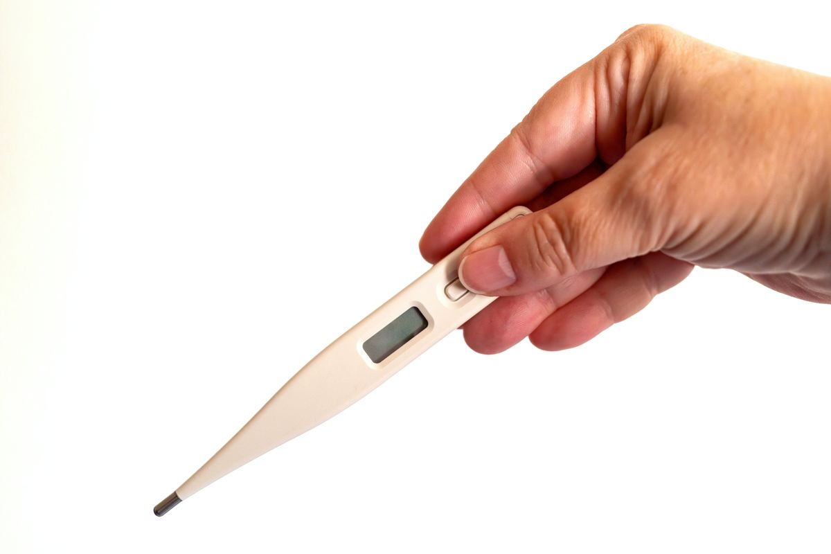 iHealth No-Touch Thermometer Review: Fast and Accurate