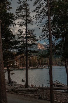 湖畔宁静的森林景观，非常适合自然爱好者和旅行者