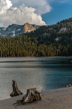 加利福尼亚州猛犸湖是一个宁静的山间湖泊，四周环绕着森林和崎岖的山峰