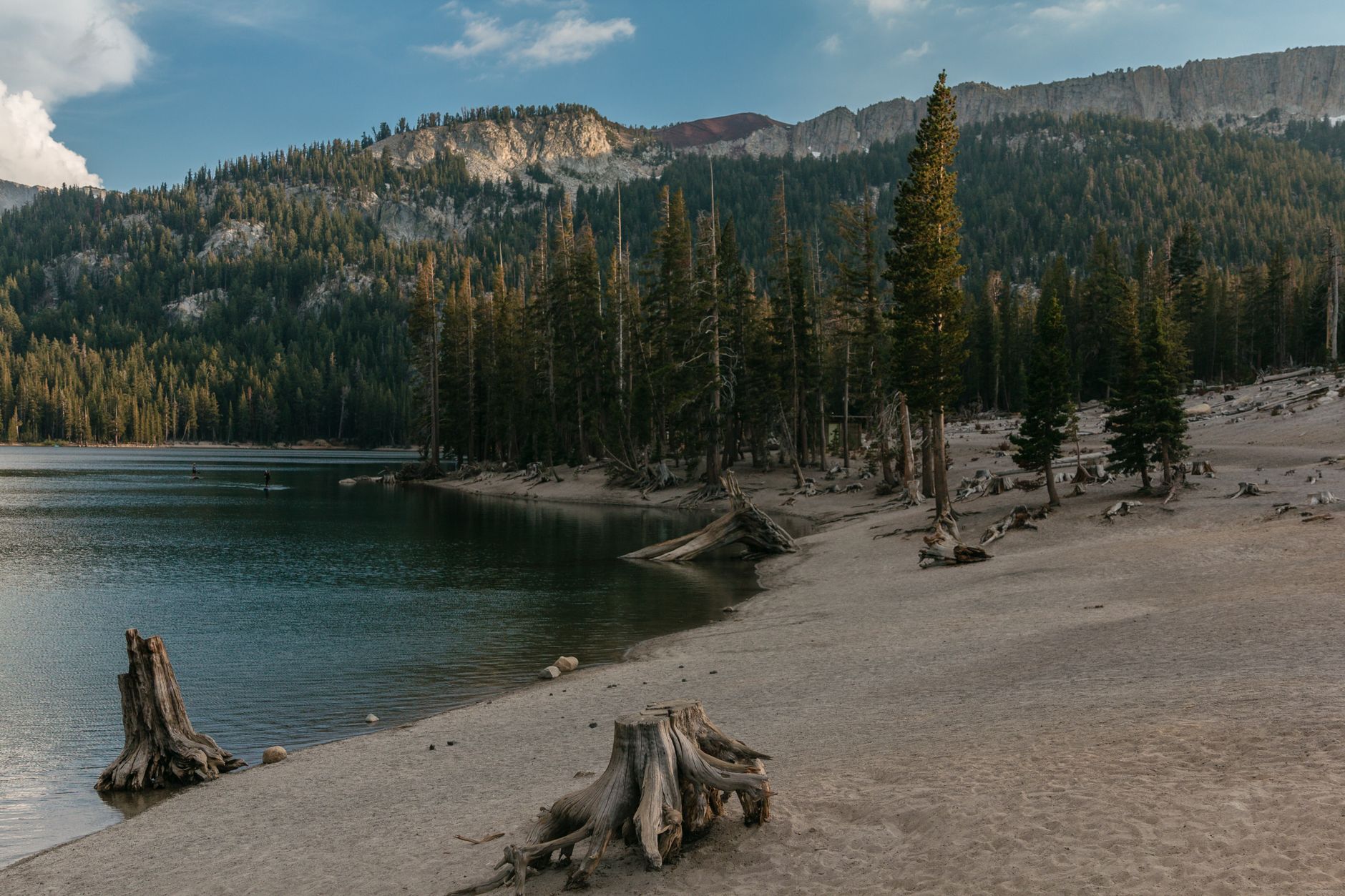 Bristlecone pines below Wheeler Peak in Great Basin National Park