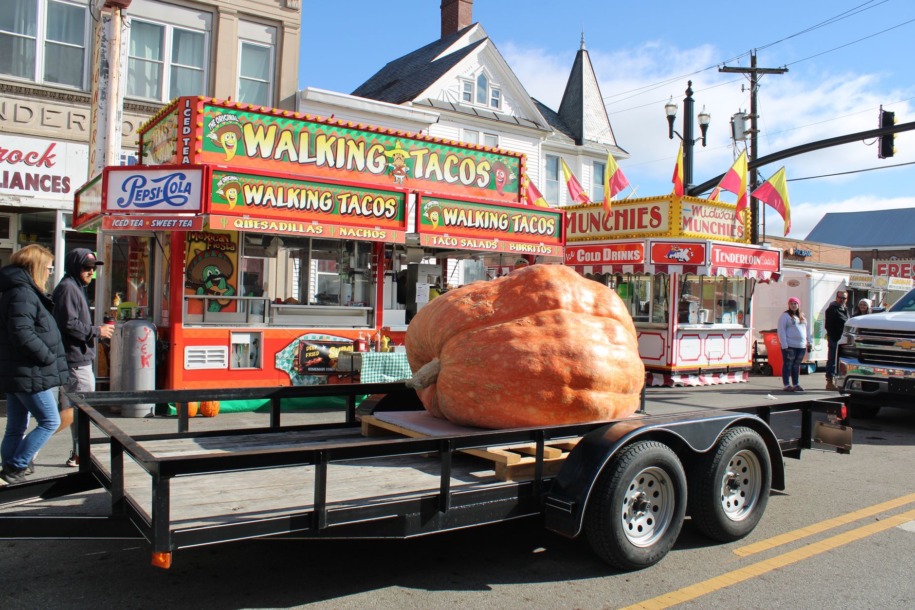 Essex man grows 544kg pumpkin, Gladys, for charity