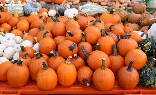 Midwest Fairs And Festivals You Can’t Miss This Fall