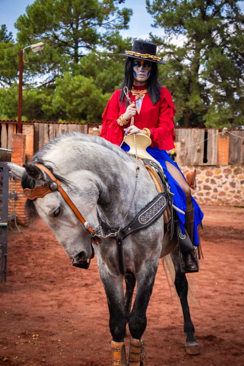 Free Traditional Catrina costume on horseback in Mexico City for Dia de Muertos. Stock Photo