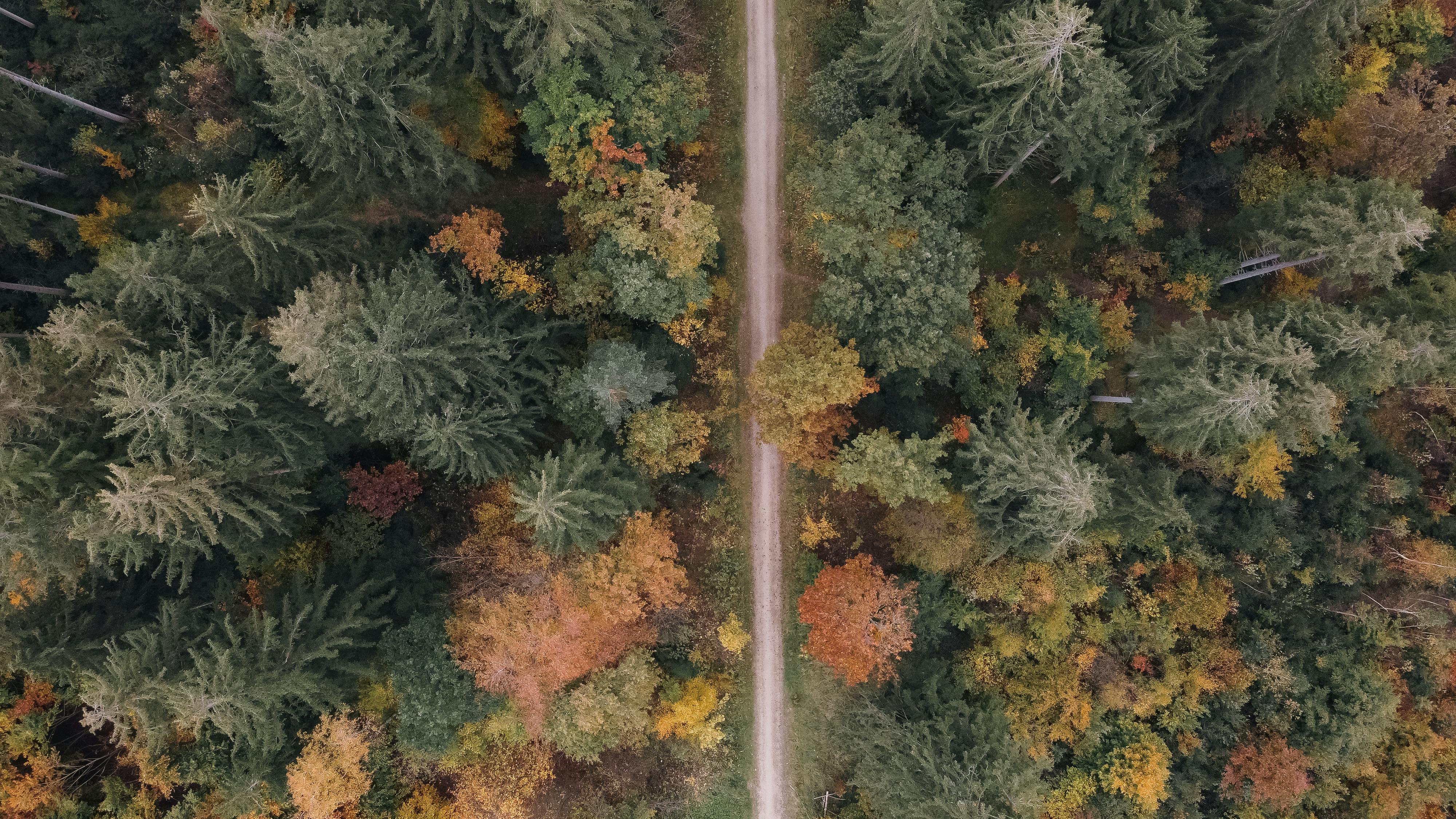 Healthspan White Paper: The Data-Driven Path to Longevity — Photo by Bastian Riccardi on Pexels