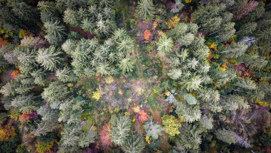 Photo for: Cannabis Roundtable Drops Crestwood Strategies After Pivotal Year