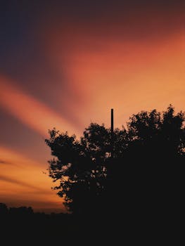 Stunning silhouette of trees with a vibrant sunset sky backdrop, showcasing nature's beauty.