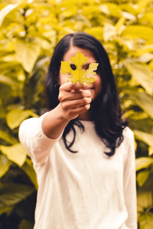 Foto Van Persoon Met Een Blad