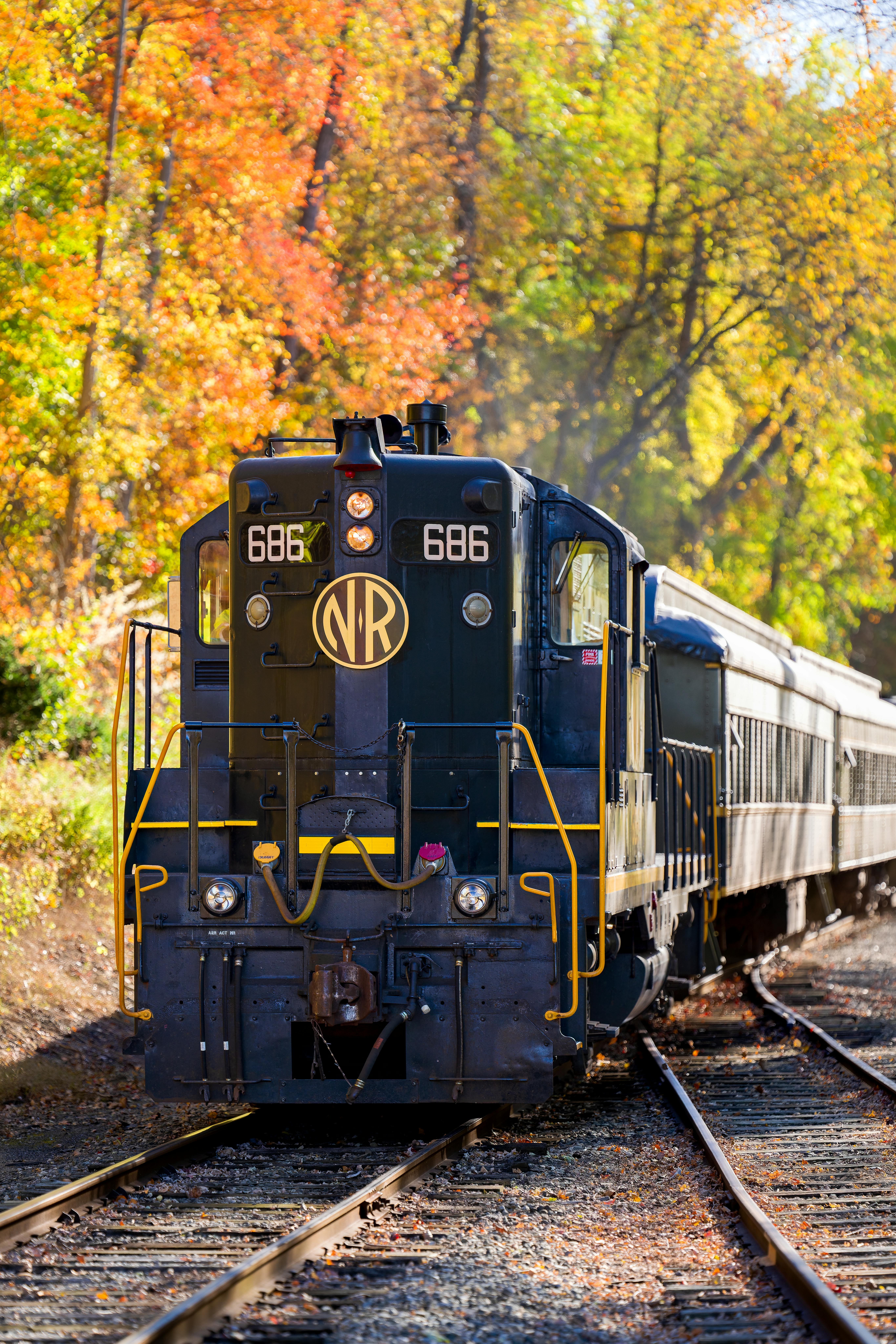 Historic train travels through colorful autumn foliage, a classic rail adventure.