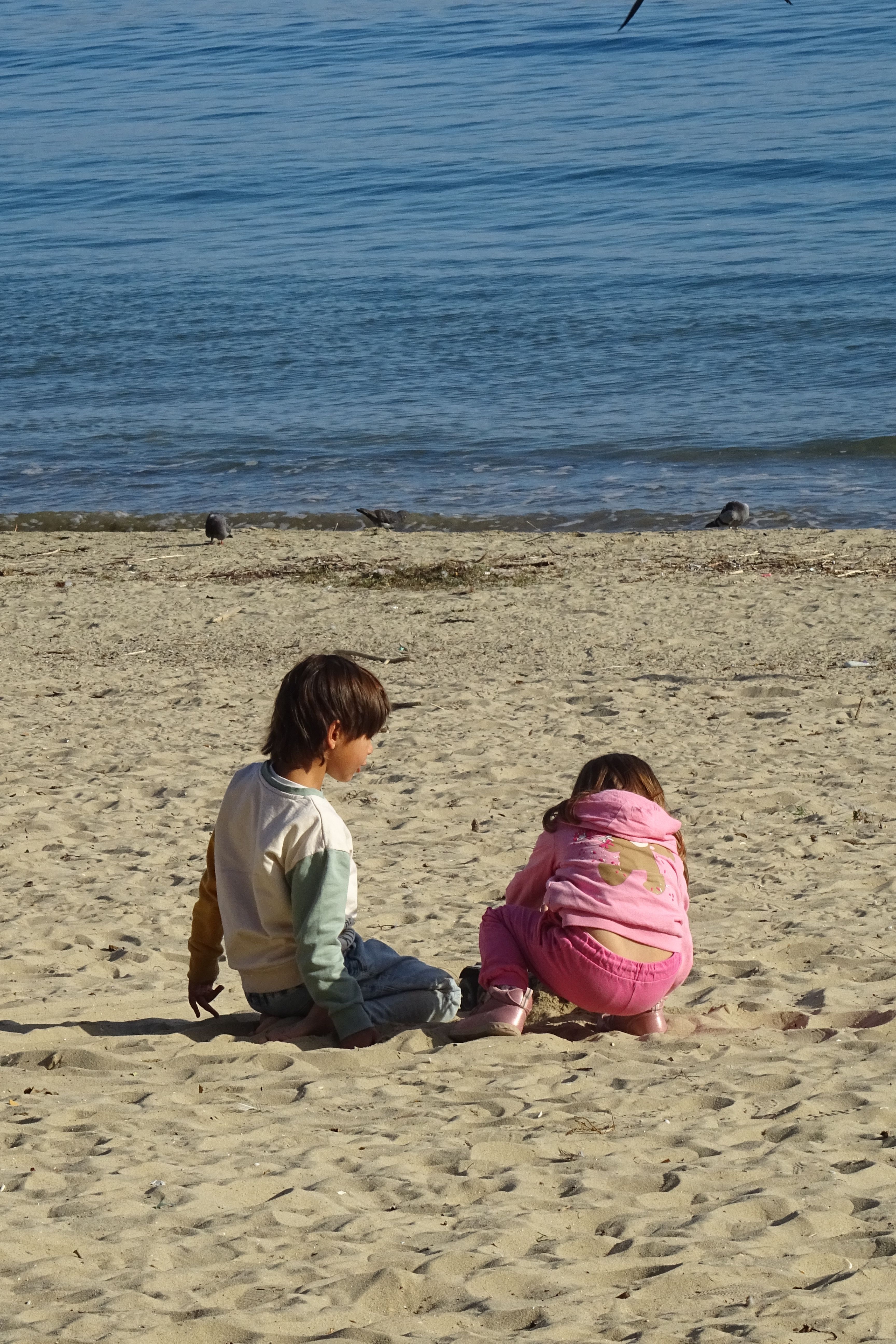 Children Playing on Sandy Beach in Sunshine · Free Stock Photo