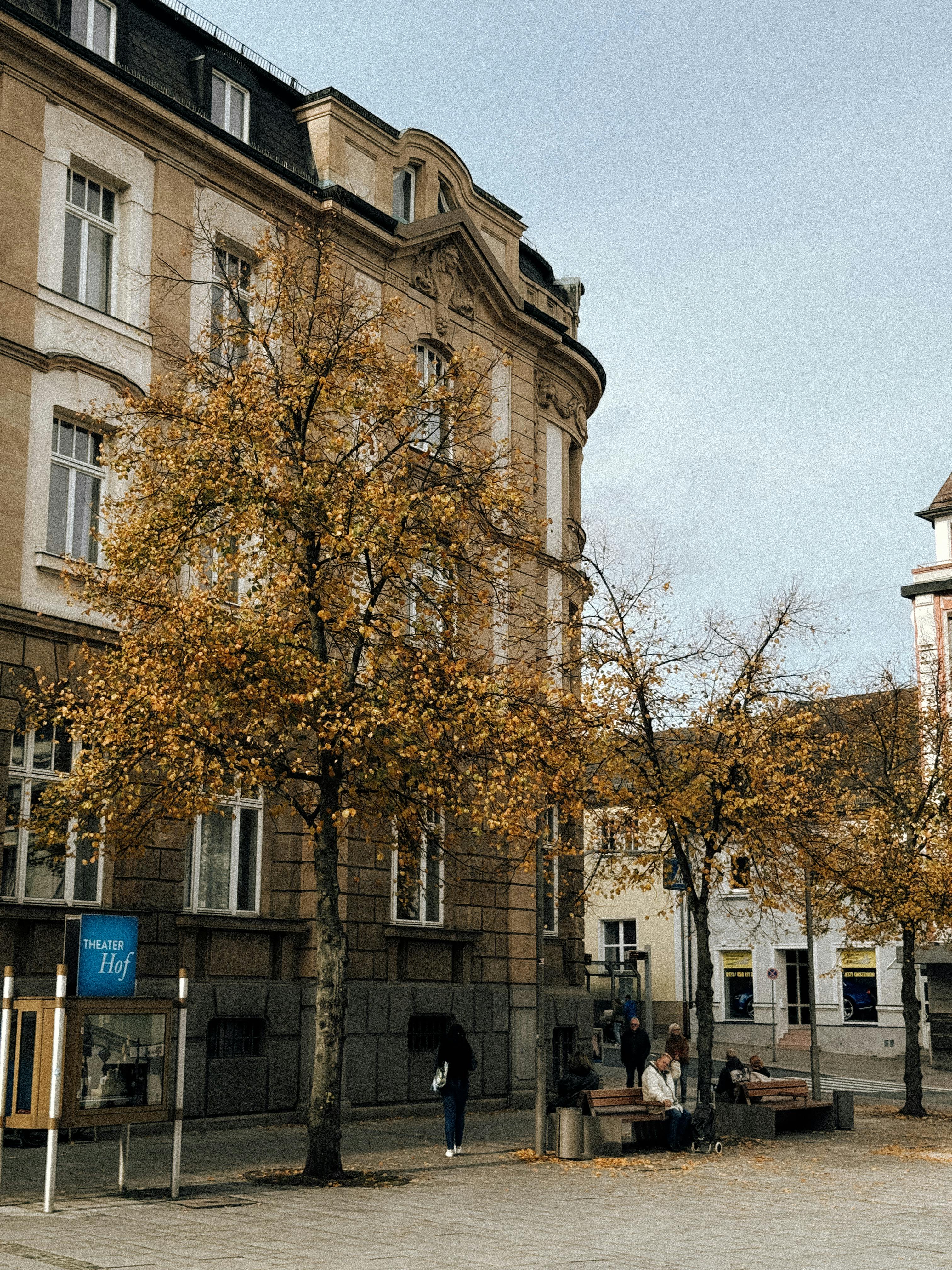 Free Charming autumn street view in Hof, Germany, featuring colorful trees and historic architecture. Stock Photo
