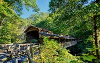 在俄亥俄州扬斯敦充满活力的夏季森林中，美丽的木桥展现了自然的乡村魅力