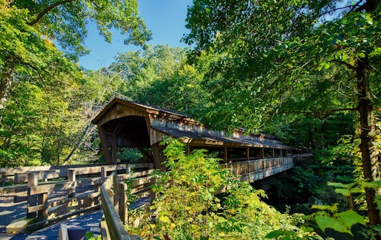 在俄亥俄州扬斯敦充满活力的夏季森林中，美丽的木桥展现了自然的乡村魅力