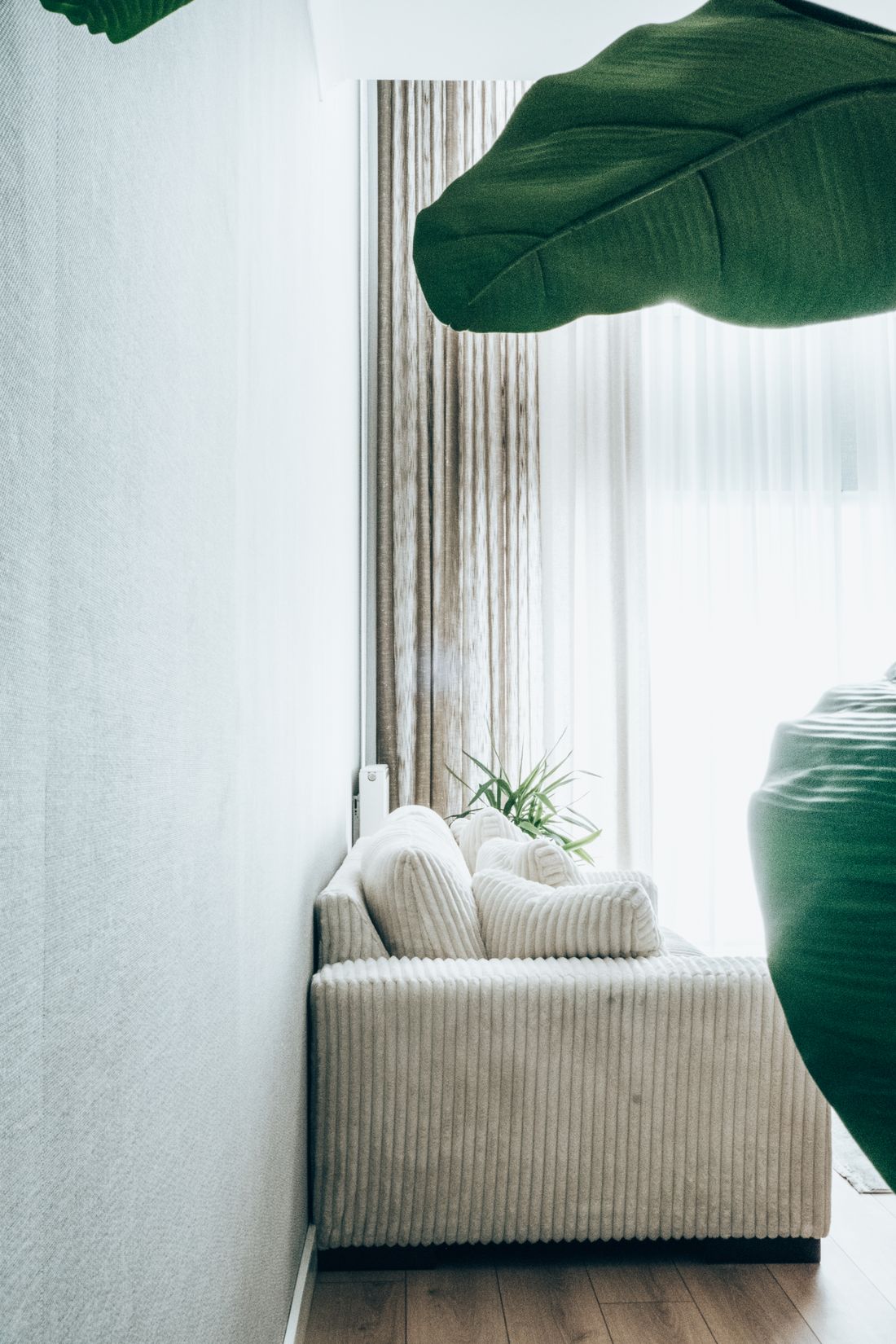 Modern Cozy Interior With Tropical Plant Decor