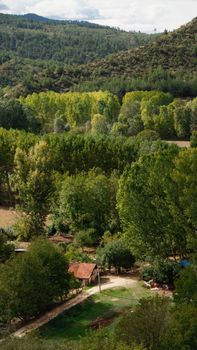 Lush forest landscape with a rustic cabin nestled among vibrant green trees, showcasing natural beauty.