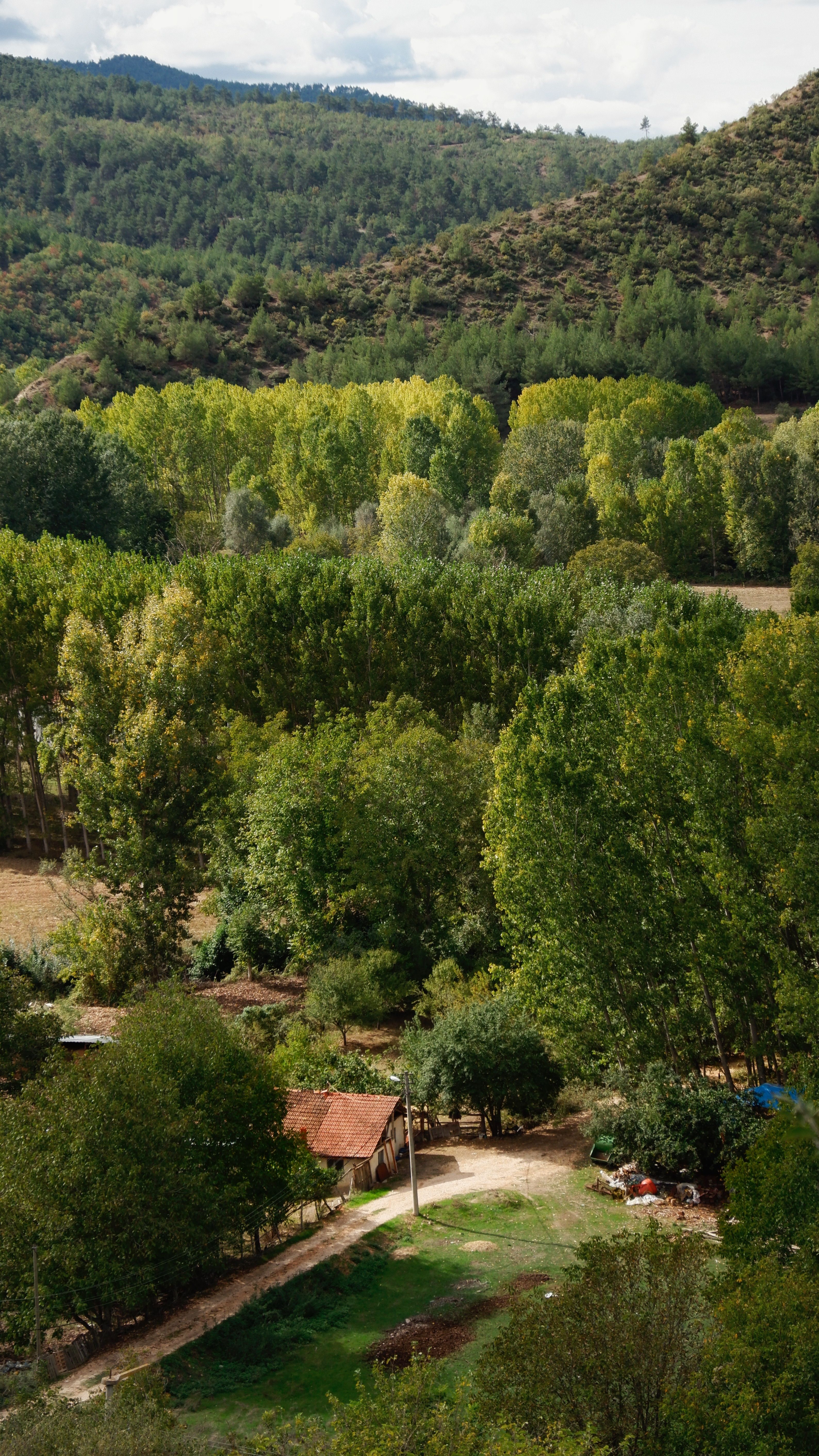 De franc Paisatge Forestal Escènic Amb Cabana Rústica Foto d'estoc