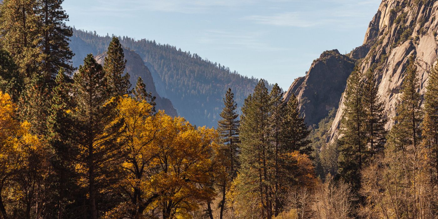 Autumn forest and granite mountains in Yosemite National Park