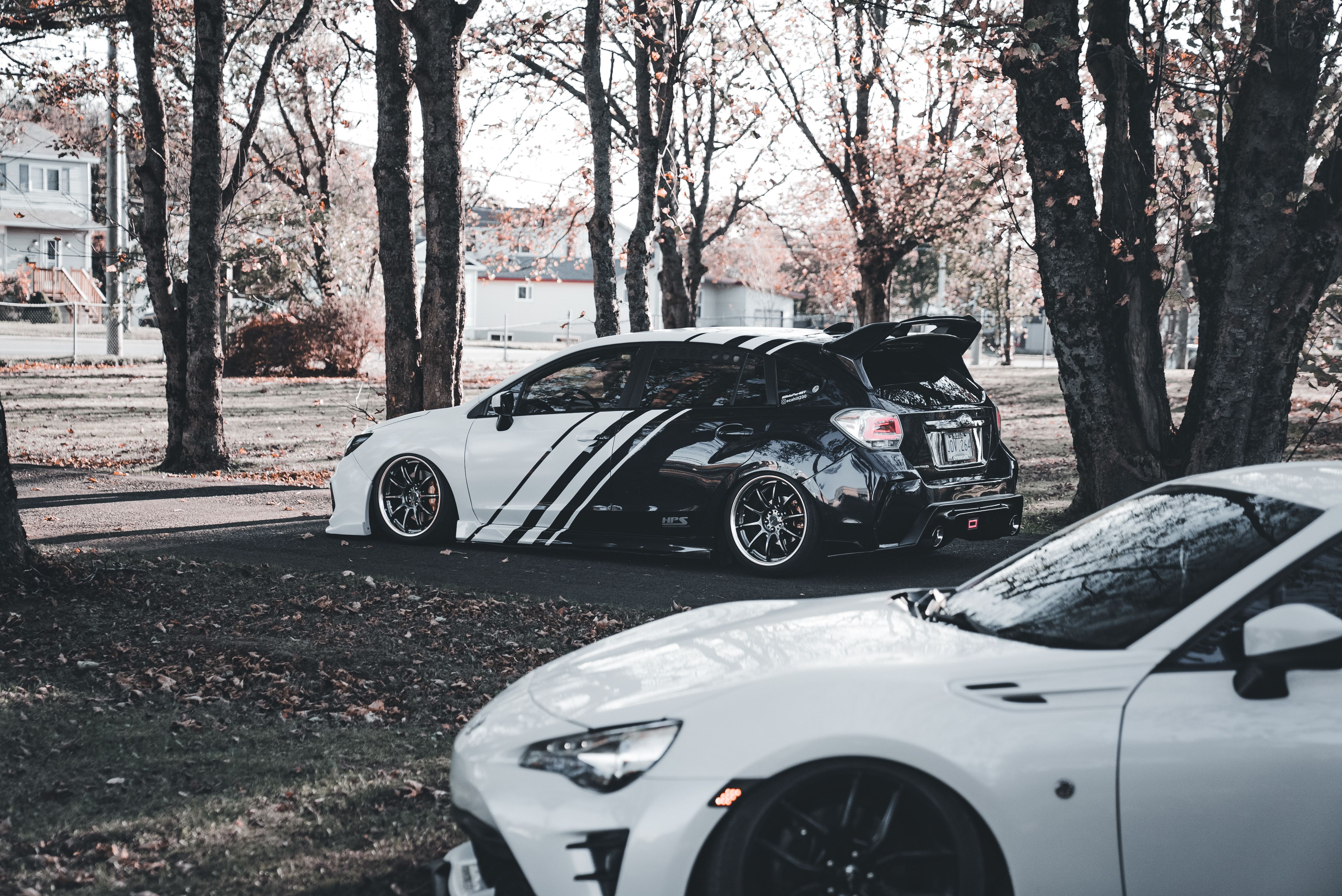 Modified Cars Parked in Leafy Urban Setting · Free Stock Photo