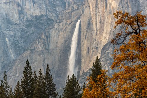 Free Yosemite Falls cascading amidst autumn foliage in Yosemite National Park. Stock Photo