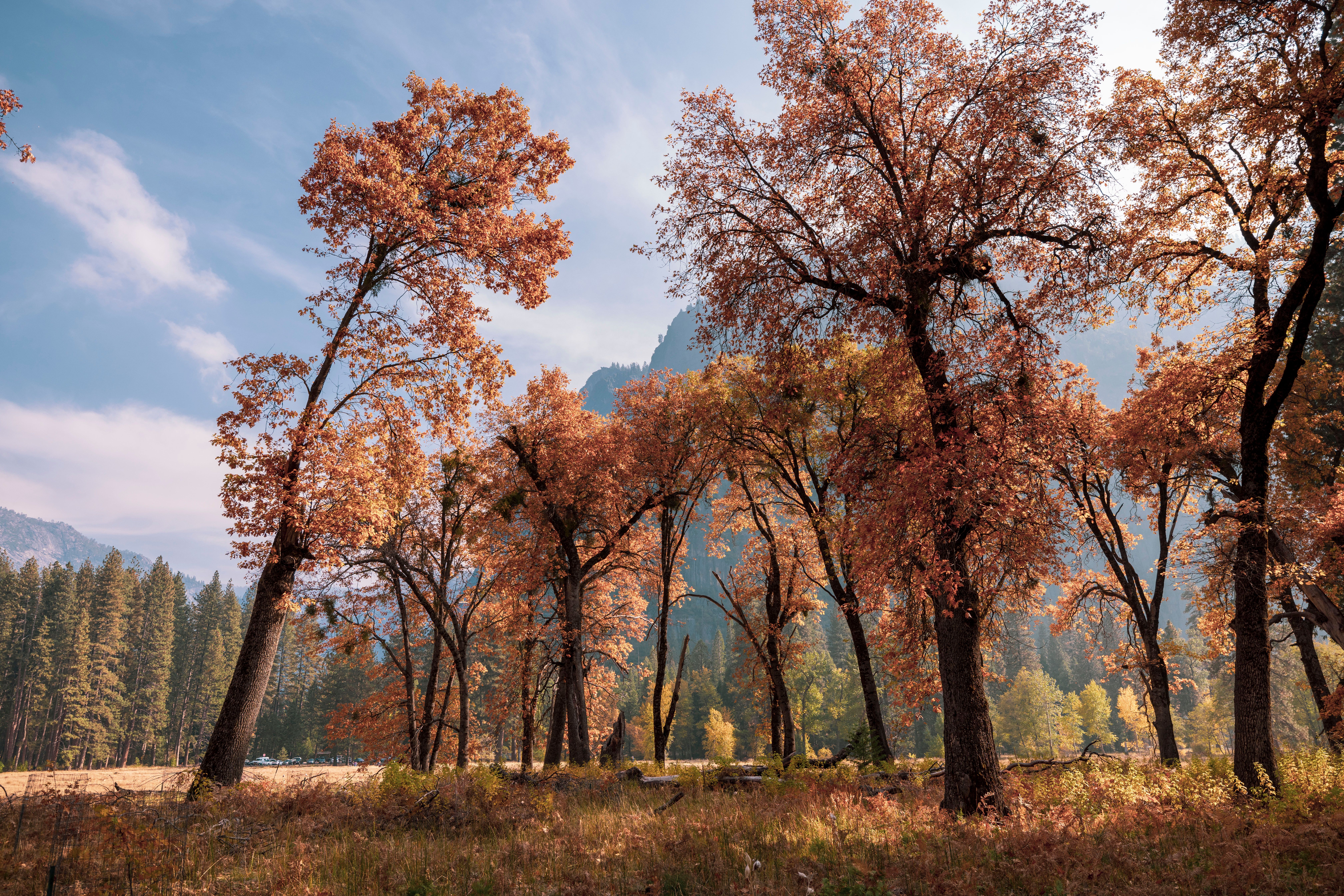 Shoulder season Nevada: April and October