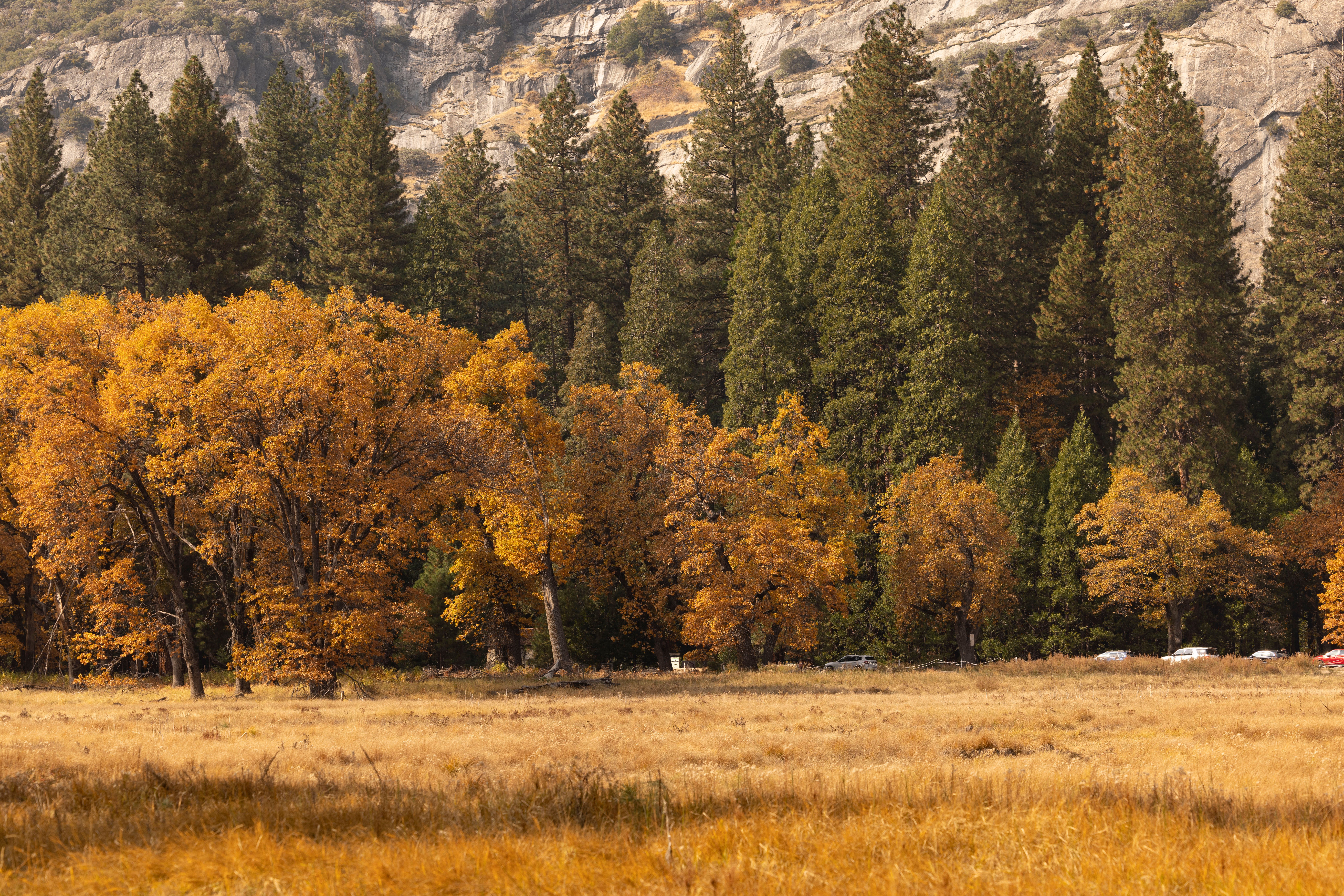 Airport transfers in Yosemite National Park