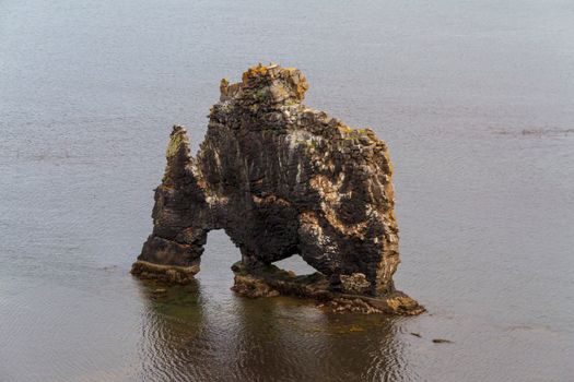 Hvítserkur