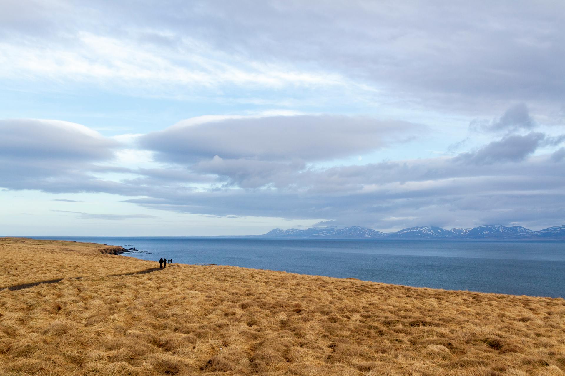 Expansive coastal view with distant mountains under a cloudy sky.