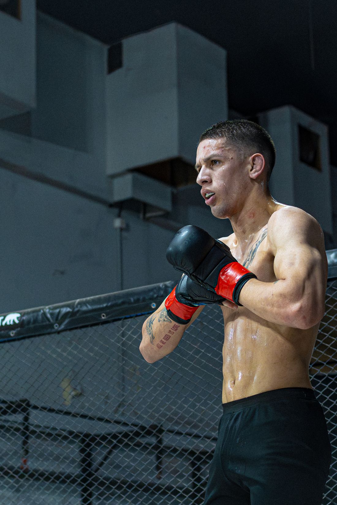 MMA athlete training