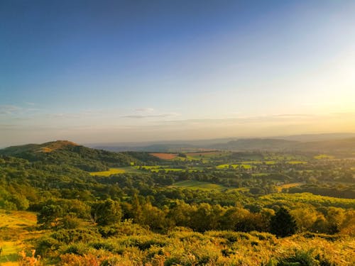 Foto Panoramica Di Alberi