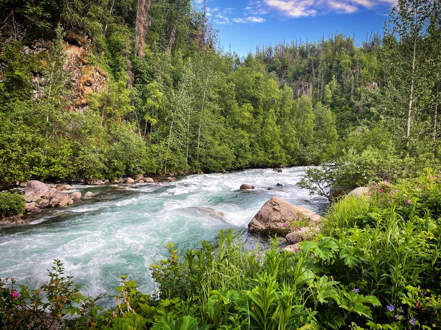 Best 5 Day Jetski Expedition: Southeast Alaskan Adventure from Juneau Review 2026 - Rushing river amidst lush forest in Alaska with clear blue sky and rich foliage.