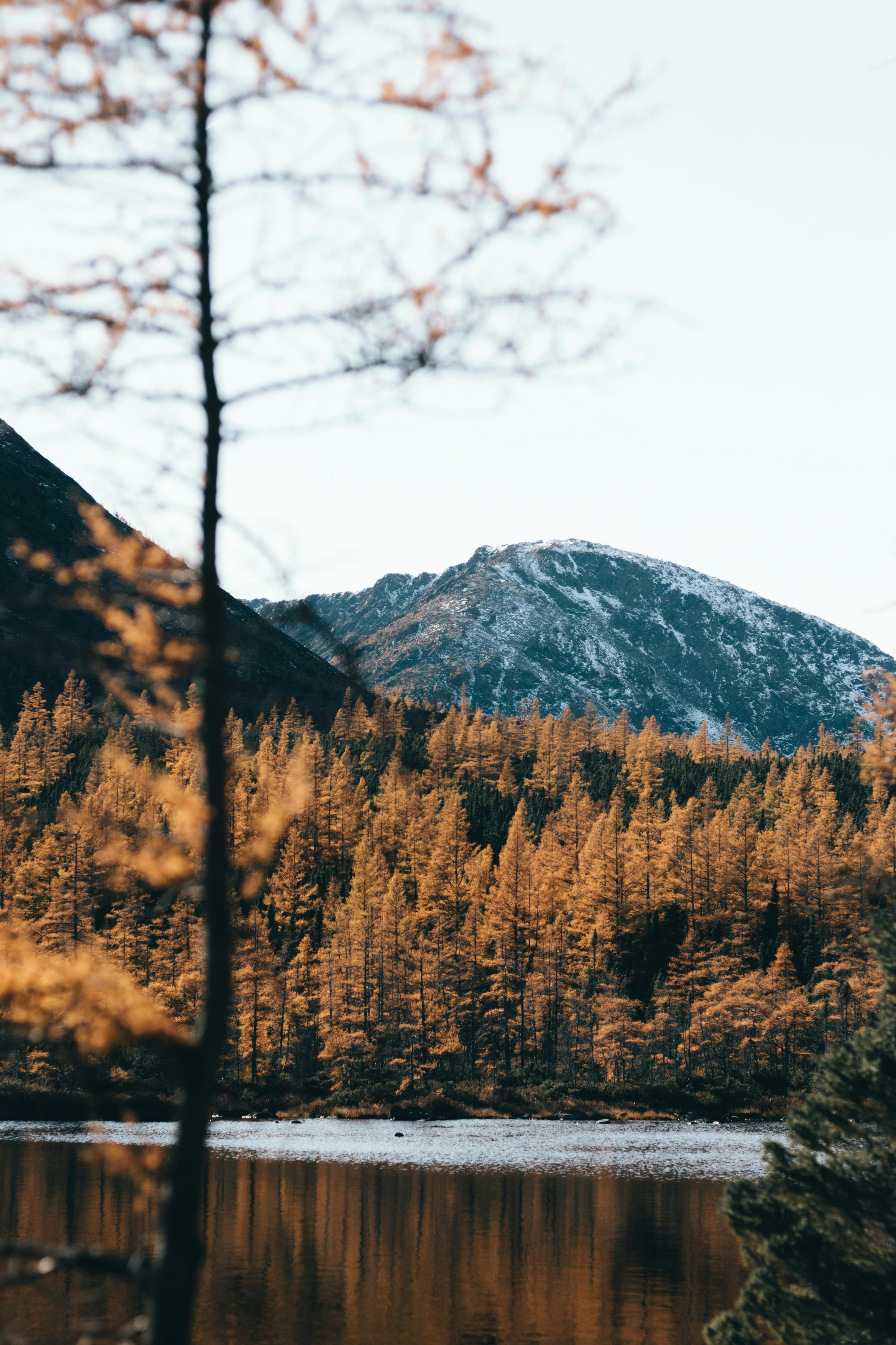 Beautiful autumn landscape with mountains and a lake in Sainte-Anne-des-Monts, Québec.