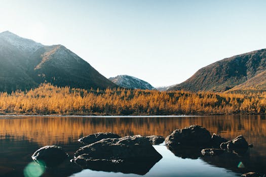 Sainte Anne, Guadeloupe photo 9