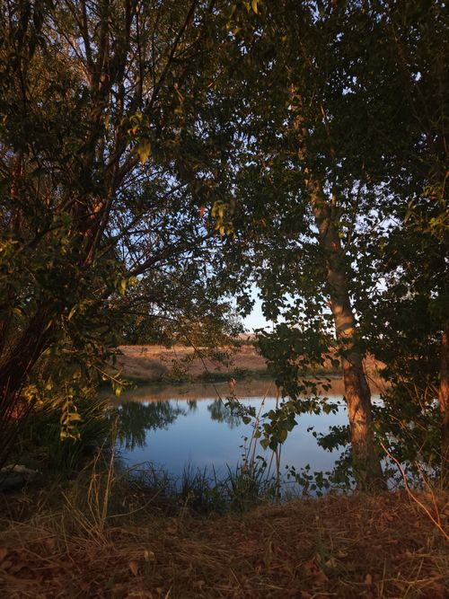 Free Peaceful lake view framed by trees, capturing the essence of nature in Kahramanmaraş, Türkiye. Stock Photo