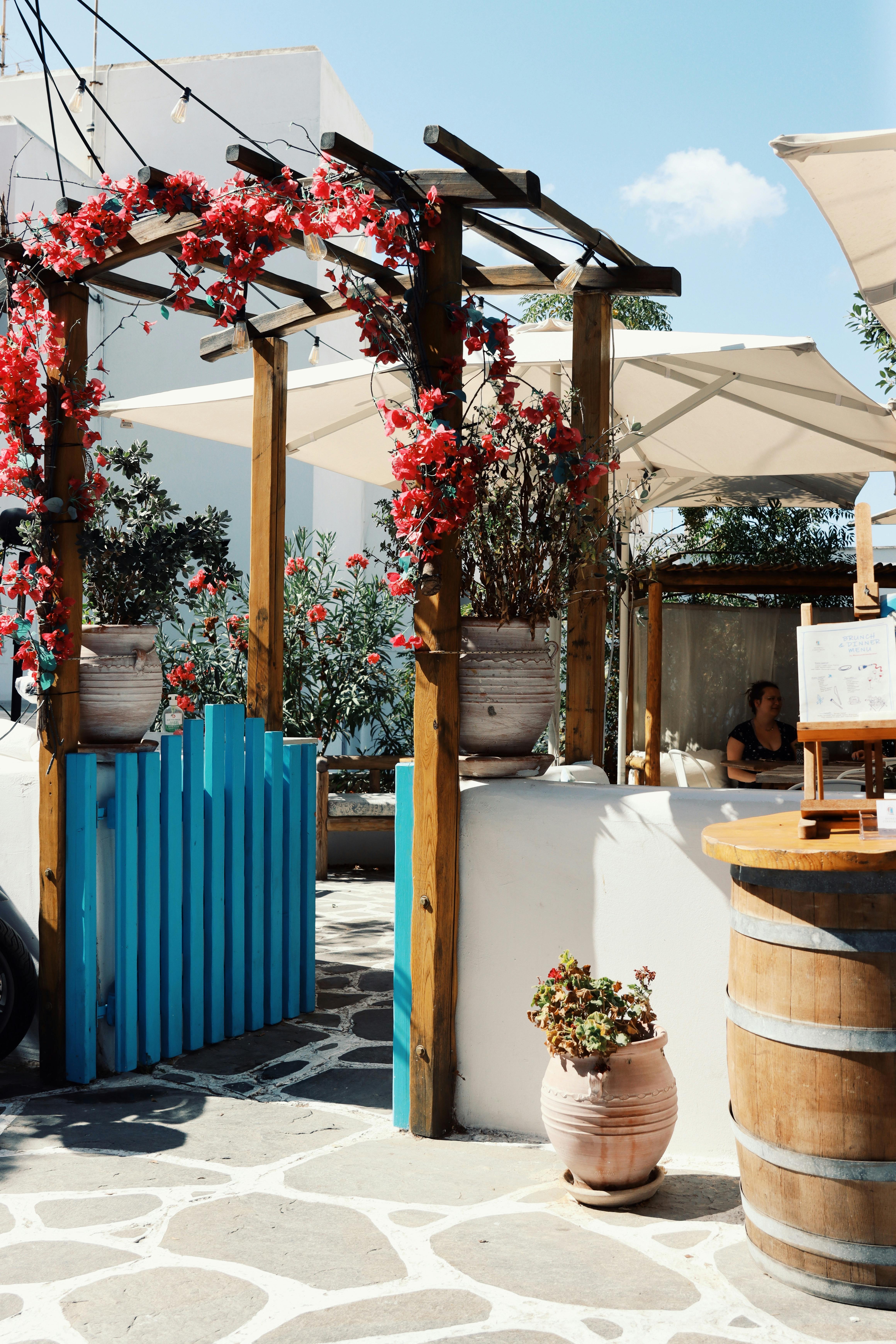 charming greek patio with floral archway